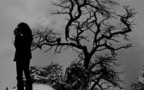 مایوسی کے سوا کیا ہے؟