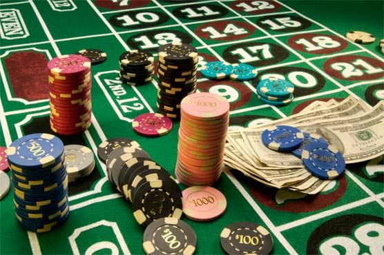 نیوزی لینڈ : باورچی نے غلطی سے ملے 1 لاکھ ڈالر جوئے میں ہار دئیے