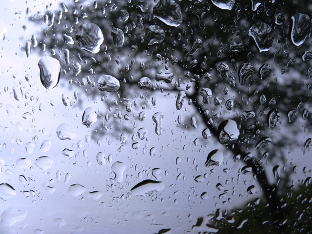 Rain
