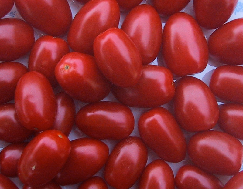 قیمتوں کو لگام دینے کیلئے بھارت سے ٹماٹر کی خریداری شروع