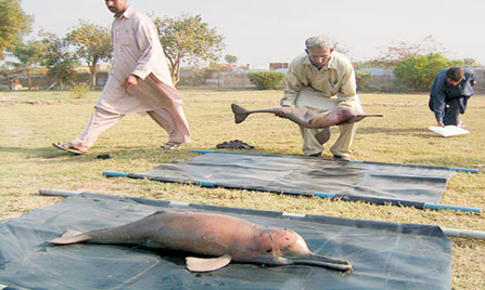 کروڑ لعل عیسن کی خبریں 7/9/2014