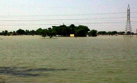 کشمور میں کچے کےعلاقے زیرآب، گڈو بیراج پر پانی کی سطح میں اضافہ