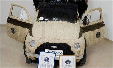 اطالوی ہیر اسٹائلسٹ نے با لوں سے کار سجا کر عالمی ریکارڈ بنالیا