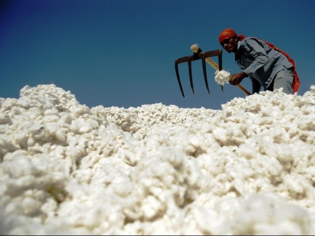 پھٹی کی قیمتیں 6 سال کی کم ترین سطح پر آگئیں