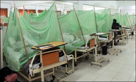 Dengue Patient