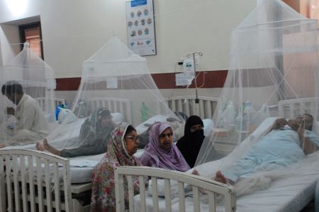 Dengue Patient