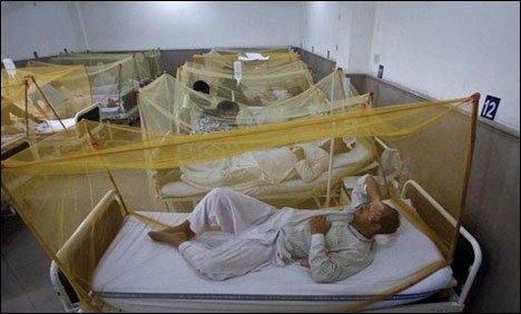 راولپنڈی میں ڈینگی وائرس کے مزید 14 مریض اسپتال داخل