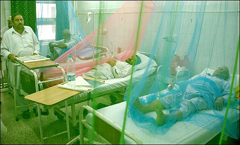 شہریوں کو ڈینگی سے بچاؤ کے لئے ضلعی حکومت کے تمام ادارے الرٹ رہیں۔  لیاقت علی