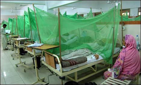 راولپنڈی : ڈینگی وائر س کے 22 مریض تاحال زیر علاج