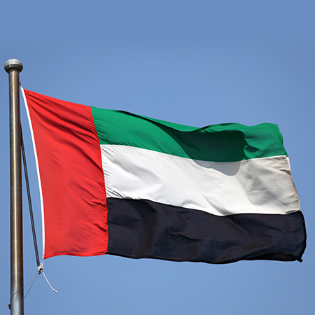 دبئی: ہیروئن اسمگل کرنے پر پاکستانی کو 15 سال قید