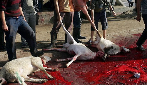 قربانی کی عید