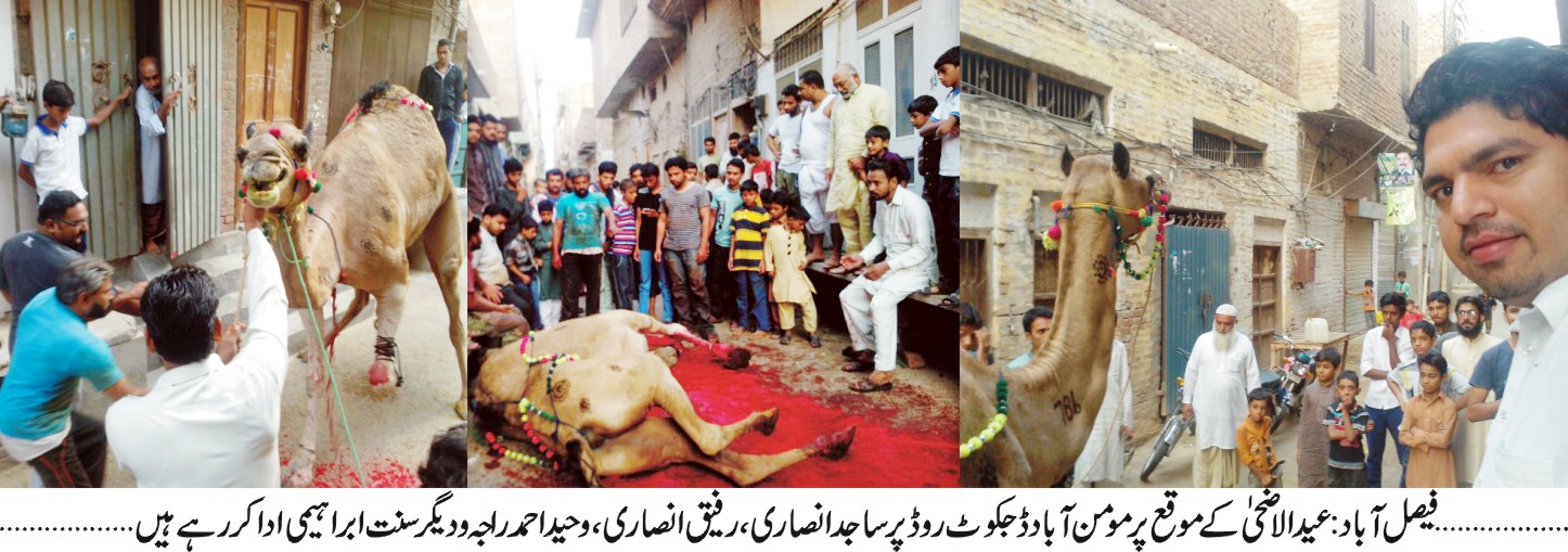 عیدالاضحیٰ کے موقع پر ساجد انصاری، رفیق انصاری، وحید احمد راجہ و دیگر سنت ابراہیمی ادا کر رہے ہیں