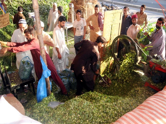 قربانی کے جانوروں کی خوراک میں استعمال ہونیوالی اشیا مہنگی ہو گئیں