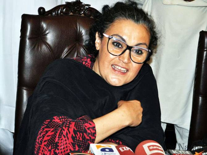 عوام کے حقوق مراعات یافتہ طبقے نے ڈاکا ڈال کر چھین لیے ہیں,غنوی بھٹو