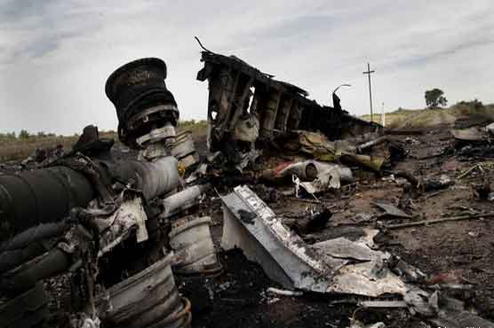 روسی نواز باغی ملائشین طیارے پر حملے کے ذمہ دار، جرمنی