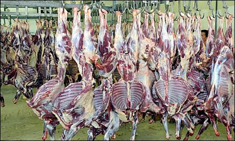 Meat For IDPs