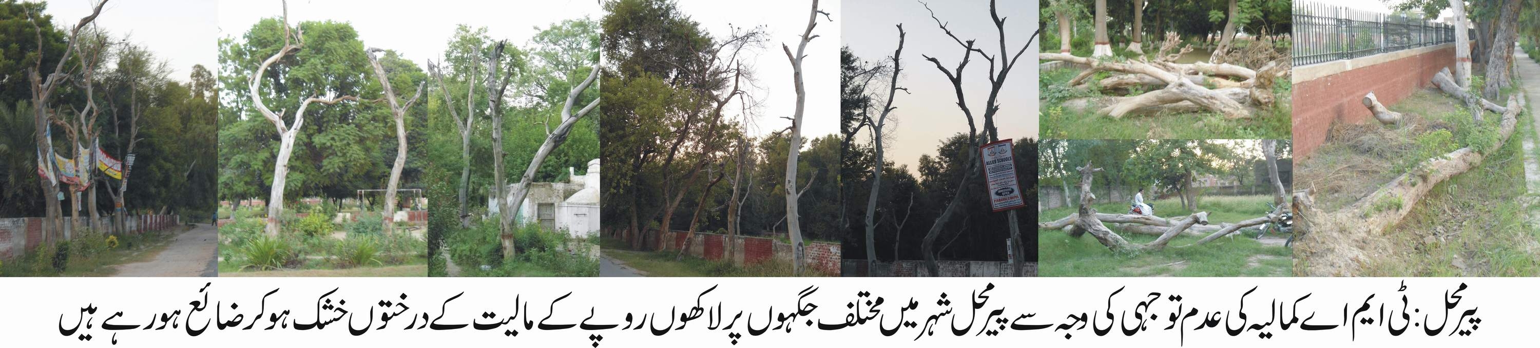 عوامی مسائل کا خاتمہ مسلم لیگ ن کی حکومت کا اولین مقصد ہے حکومت کا ہر دن عوام ملک و قوم کی بھلائی