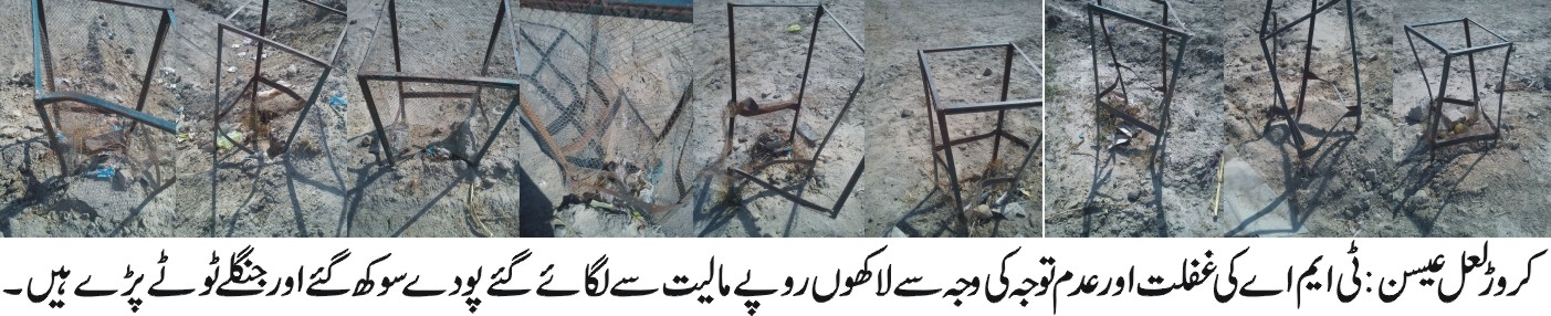 ٹی ایم او کروڑ ماسوائے سیاستدانوں کی خوش آمد اور مال کمانے کے شہر پر کوئی توجہ نہیں دے رہے