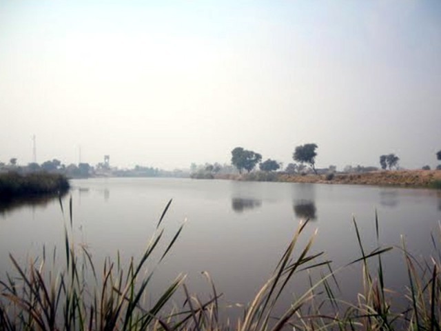 میر پور خاص میں مچھلی کا شکار کرنیوالے 2 لڑکے خود موت کا شکار ہوگئے