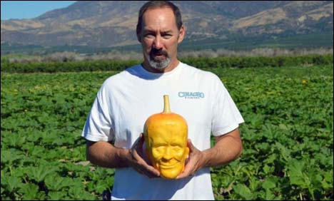 امریکی باغبان نے کارٹون کرداروں کی شکل والے کدو اْگالئے