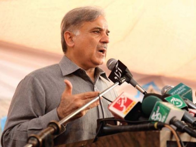 اللہ کے شیر جاگ گئے تو سرخی رہے گی نہ پاؤڈر، شہباز شریف
