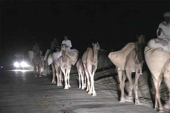 تھر پارکر میں قطہ سالی کے باعث نقل مکانی کا سلسلہ جاری