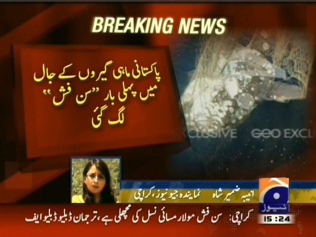 پاکستانی  ماہی گیروں کے جال میں پہلی  بار سن  فش لگ گئی