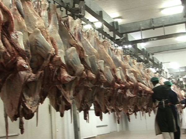 مردار گوشت کی فروخت روکنے کے لئے سکواڈز تشکیل