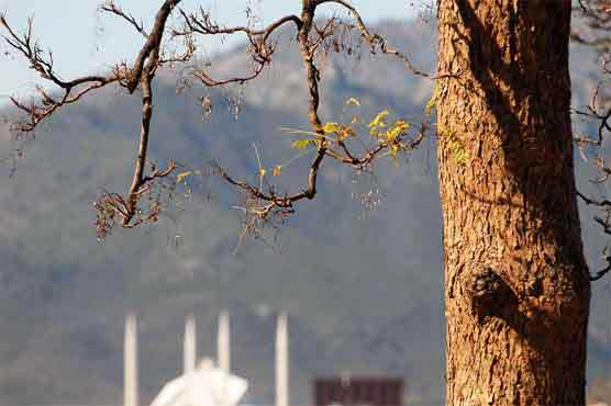 ملک کے بیشتر علاقوں میں موسم سرد اور خشک، لاہور میں سورج کی تمازت