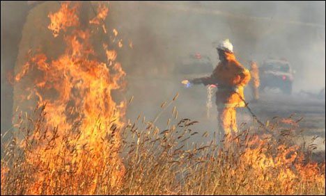 آسٹریلیا کے جنوب میں جنگلاتی آگ، ہزاروں افراد نقل مکانی پر مجبور