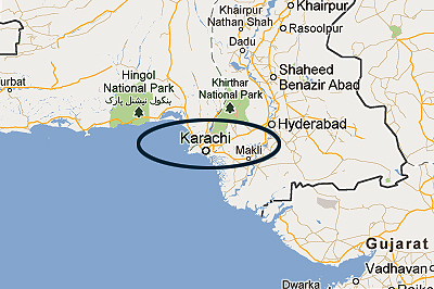 عدل قائم کئے بغیر دہشتگردی سے نجات ناممکن ہے: امیر پٹی