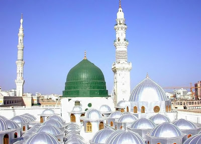 محسنِ انسانیت غیروں کی نظر میں