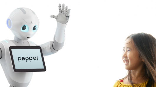 فرانس میں انسان دوست روبوٹ “پیپر” کی فروخت شروع