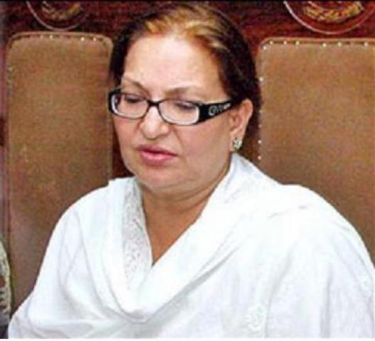 نوجوان فلم ڈائریکٹرز کی حوصلہ افزائی کرنی چاہیے، سنگیتا