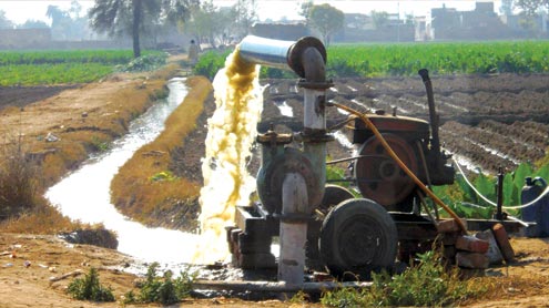 سیوریج کے پانی پر سبزیوں کی کاشت جاری، انتظامیہ خاموش