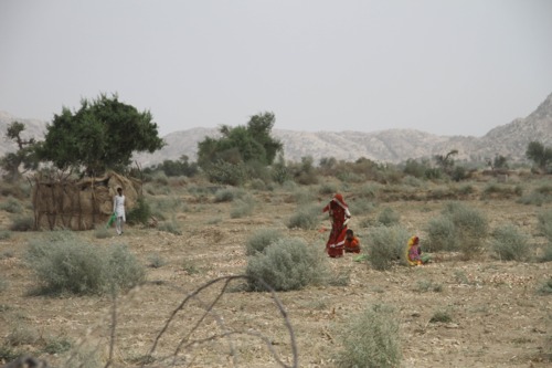 Tharparkar