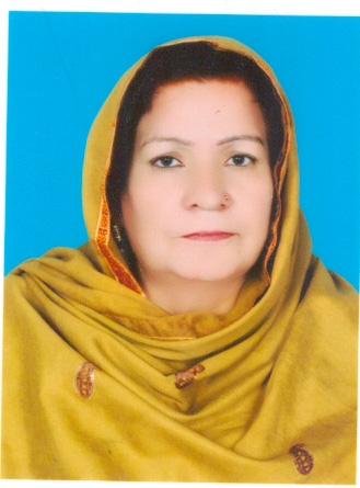 ترقی اور خوشحالی کا راز سیاسی استحکام میں مضمر ہے،بلقیس اختر