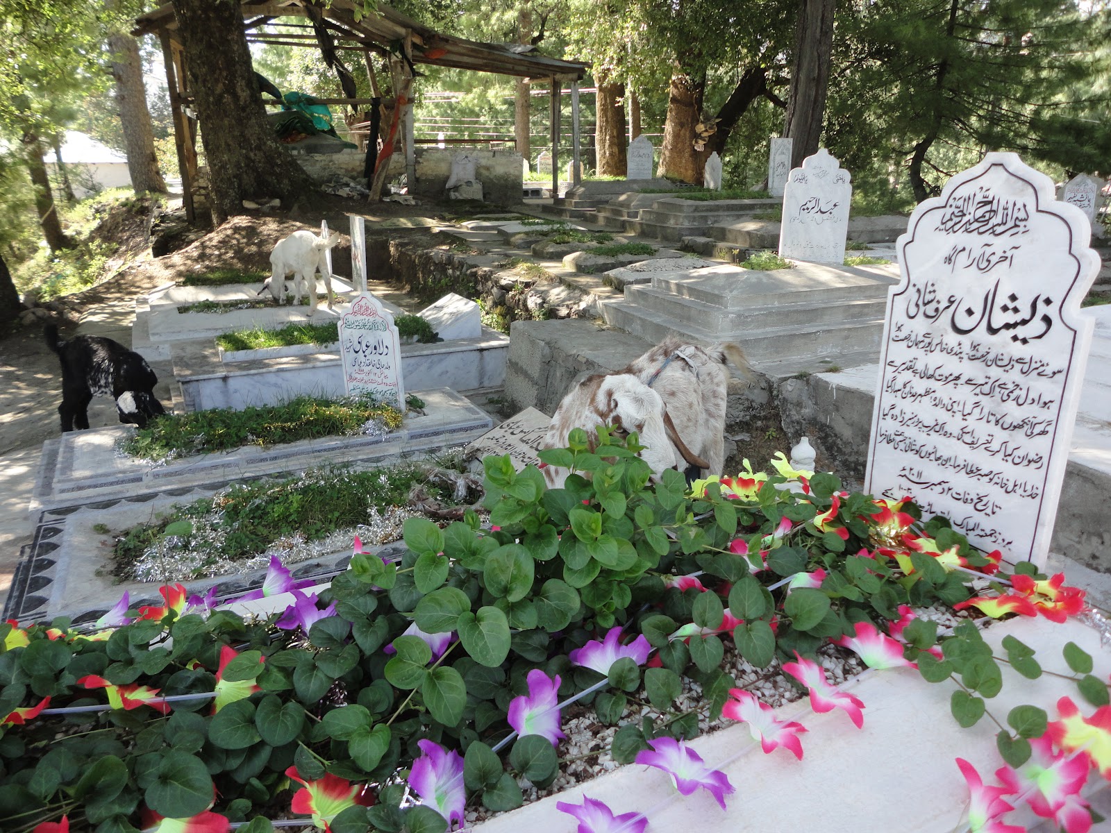 ہم  کو میسر نہیں  مٹی  کا  دیا بھی