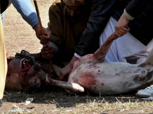 حرام، حلال اشیاء اور چشم کشا انکشافات