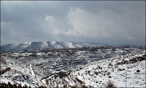 امریکا:واشنگٹن سمیت کئی ریاستوں میں شدیدسردی ، نظام زندگی مفلوج