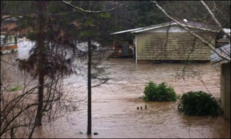 واشنگٹن میں طوفانی بارشوں سے دریا بپھر گیا