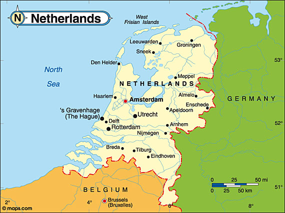 ہالینڈ میں الو کے حملوں سے درجنوں افراد زخمی شہری خوف کا شکار‘ چھتریاں استعمال کرنیکی ہدایت