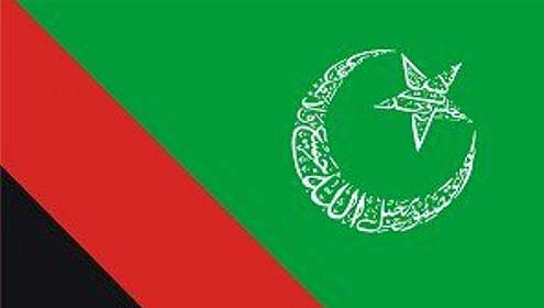 حکومت انتقامی کارروائیوں کانشانہ بنا رہی ہے :مجلس وحدت مسلمین