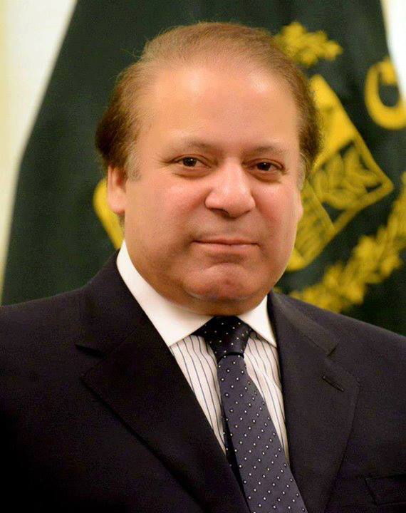 حکومت کے پاس بجلی کے کارخانے لگانے کے پیسے نہیں، وزیراعظم