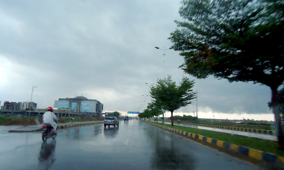 Rain