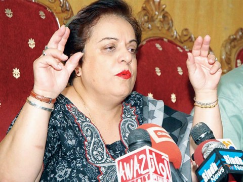مولانا فضل الرحمان ہمیشہ سے اقتدار کے غلام رہے ہیں: شیریں مزاری