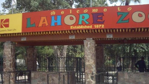 چڑیا گھر: جانوروں کے جوڑے مکمل کرنیکا فیصلہ، 42 ملین مختص