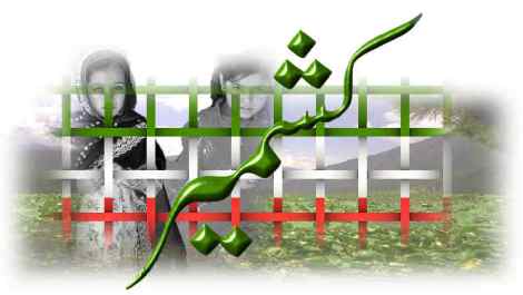 کشمیر سے صرف یکجہتی کافی نہیں