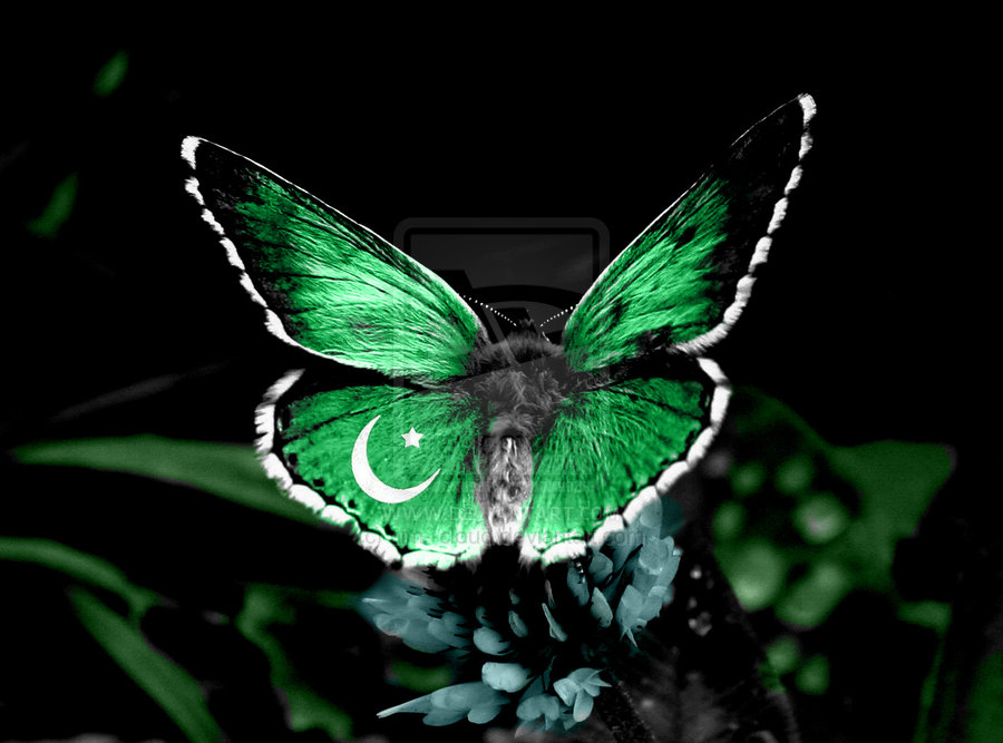 ٢٣ مارچ تجدید عہد کا دن  !