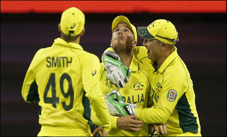 پرتھ: آسٹریلیا نے افغانستان کو 275 رنز سے شکست دے دی